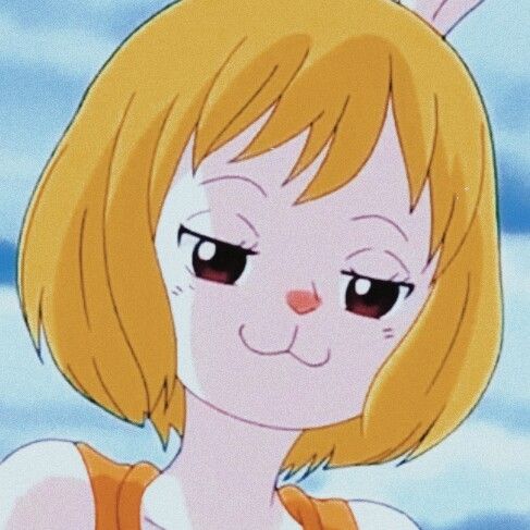 OnePiece_FGirls on Twitter: "🥕 –¿Sexo? https://t.co/FOGmNgqsOO" / Twitter