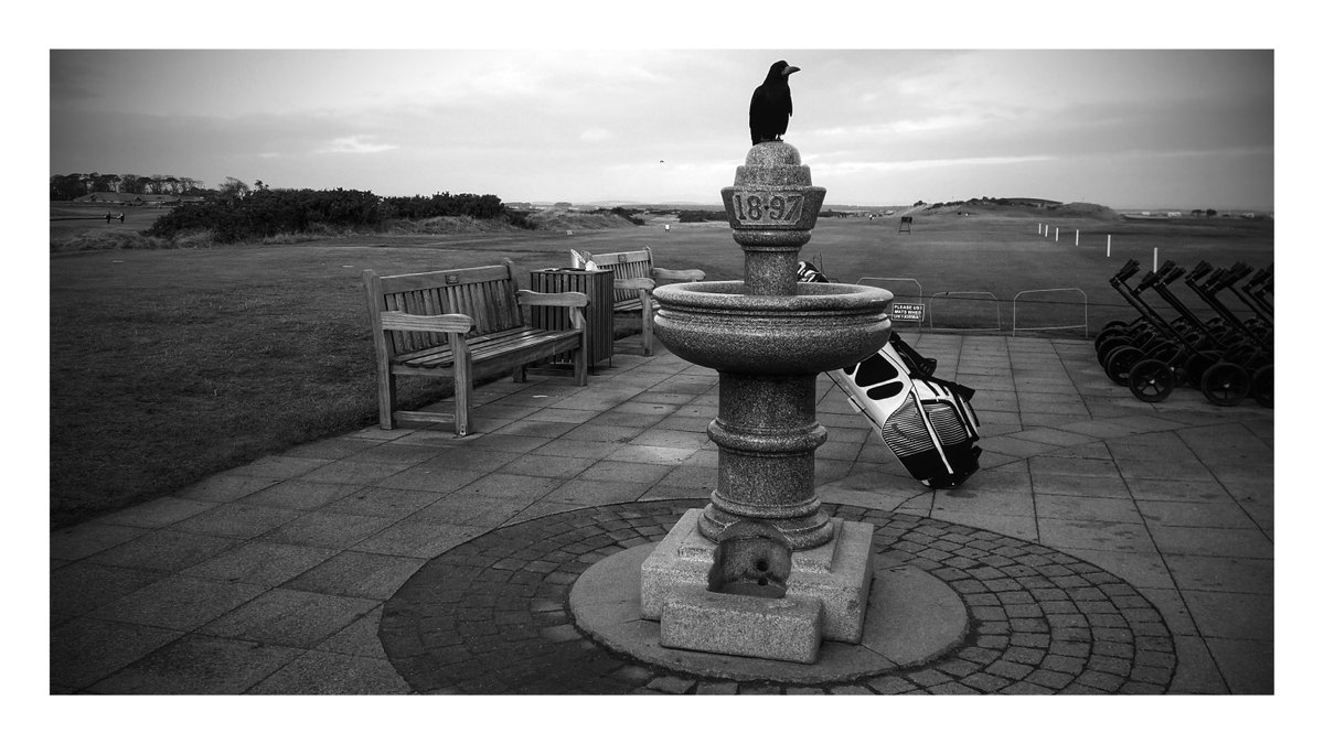 caddiegolftours's tweet photo. I came across these few B&W pics of Jubilee Course and Old Course at St Andrews, must do more...Fore!
#standrews #oldcourse #jubileecourse #blackwhitephotos https://t.co/NoLYPVoVyQ