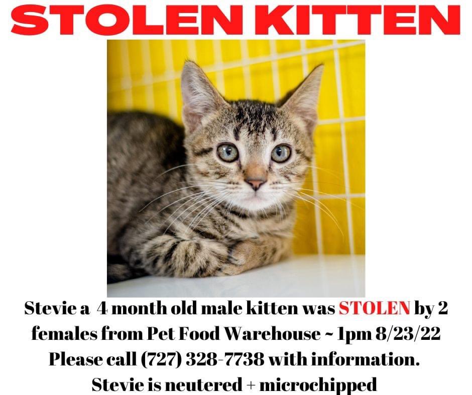 Pet Pal Shelter (@PetPalStPete) / Twitter Pet Pal Shelter (@PetPalStPete) / Twitter
