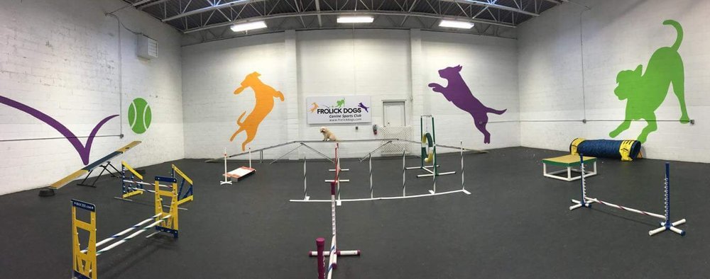 FrolickDogs's tweet photo. We love providing a fun, safe place for people to work with their dogs. If you haven't been to the gym, come check it out! #FrolickDogs #CanineSportsClub #DogGym https://t.co/POdFNtWihM