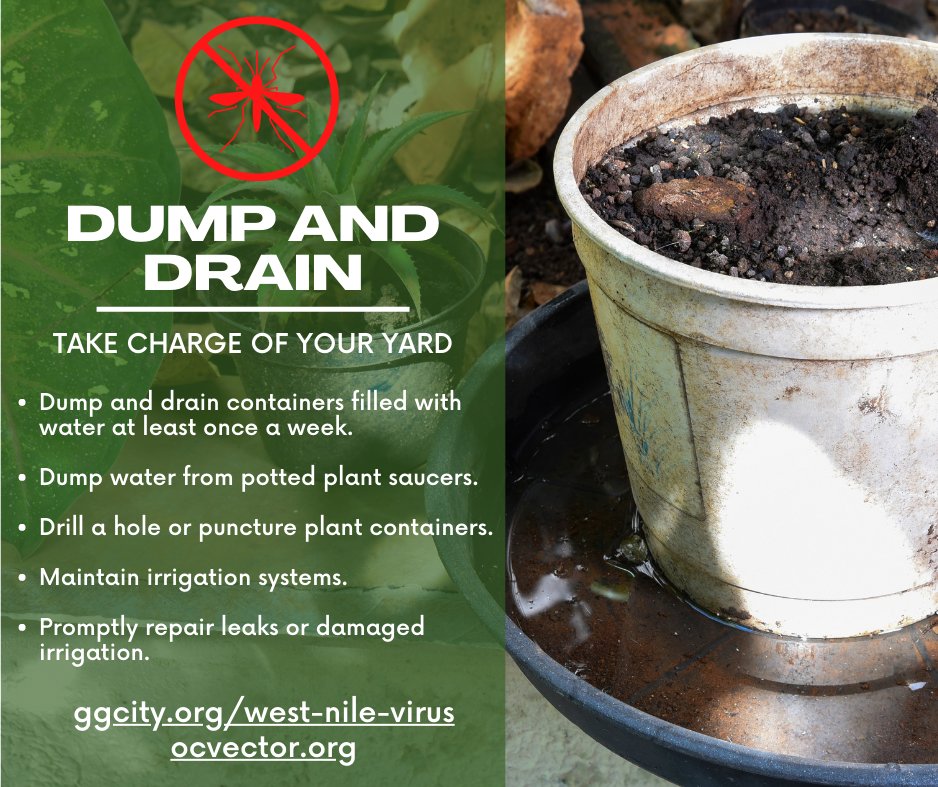 CityGardenGrove's tweet photo. 🦟🚫 Take charge of your yard!
Do your part to help eliminate mosquito breeding sites.
Learn more at https://t.co/gEDVk7BBYB and https://t.co/xqr4BIysEb.
#GG1956 #gardengrove #ocvector #StaySafeGG #WestNileVirus #mosquitocontrol #mosquitobites @OCVector https://t.co/Lnuy7EMLdd