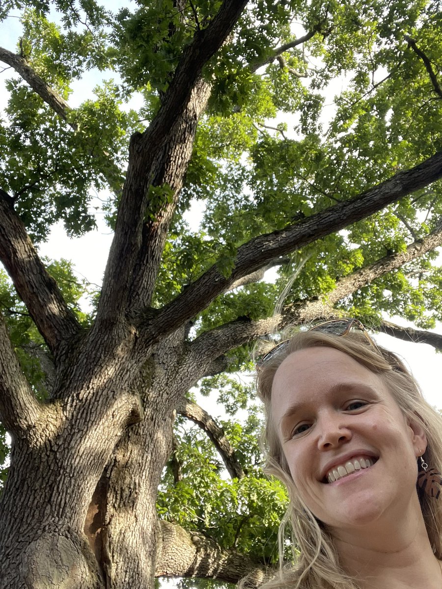 sawyatt's tweet photo. Admiring this massive white oak on a brief stop by @YaleEnvironment and took a sample for @AdvScientists (while wearing my Sunski sunglasses from last year). Should have used panorama! #timbertracking https://t.co/V0NBJjvCah