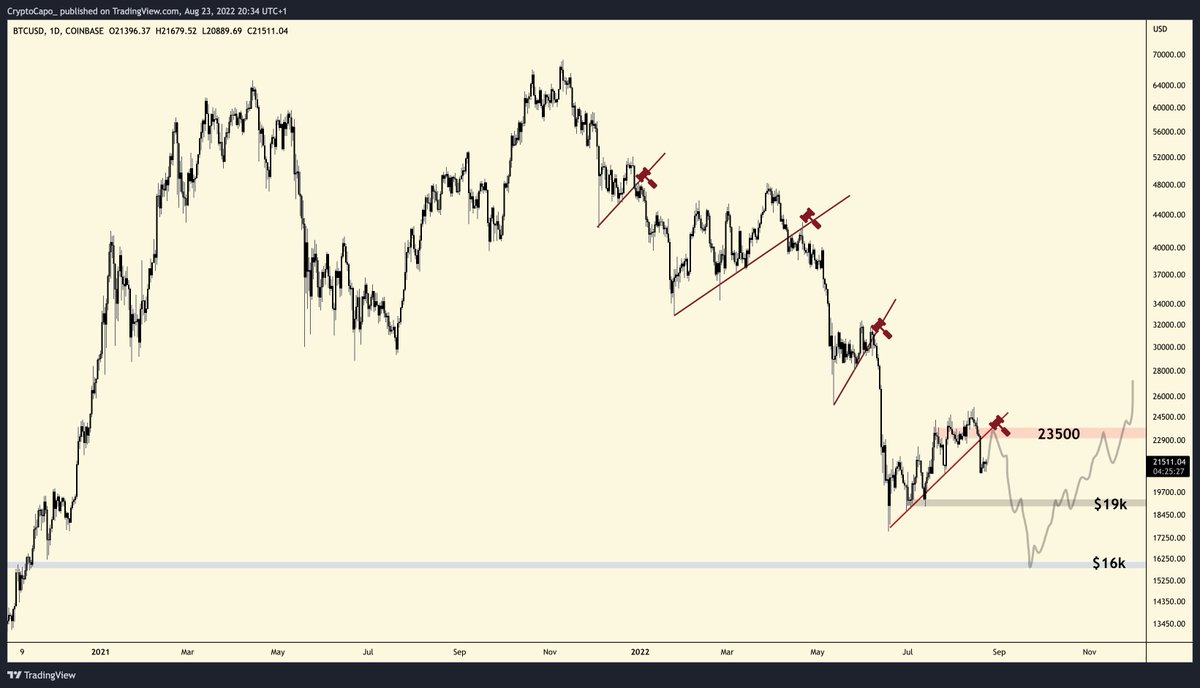 CryptoCapo_'s tweet image. The power of the hammer.