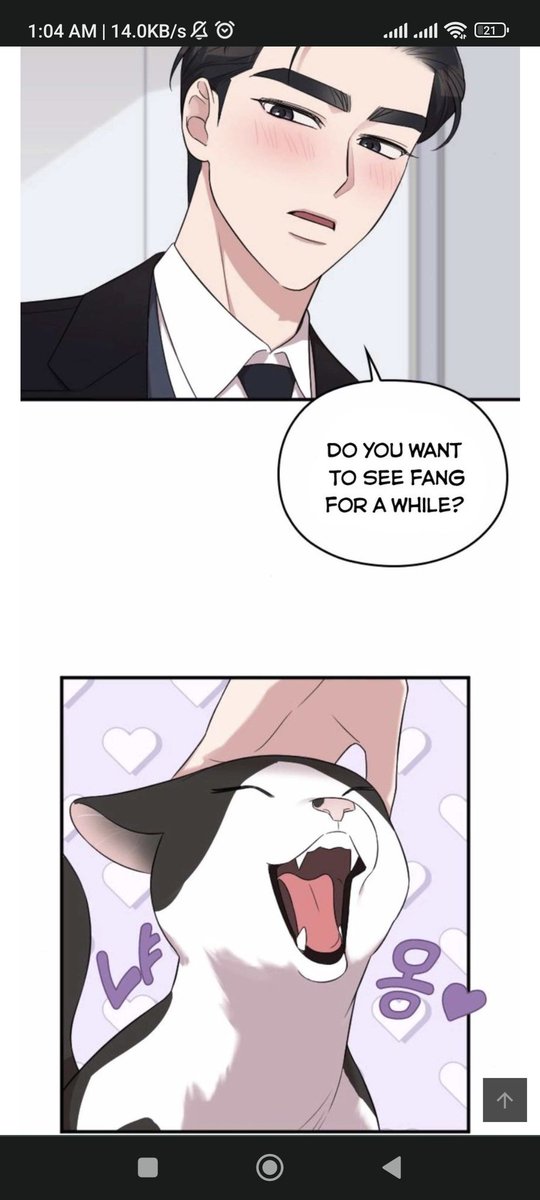 yoonish's tweet photo. stumbled across a wild do you wanna come see my cat in the world https://t.co/R6RH4nQzQt