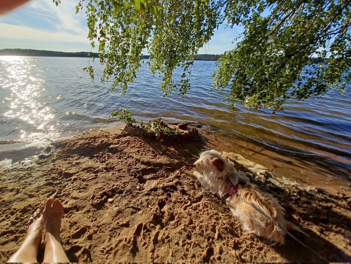 InfoKunert's tweet photo. #Kurzurlaub nah bei daheim. Nach Tierarztbesuch habwn wir uns das verdient. #Auszeit #Rothsee https://t.co/BZmKPPXc0V