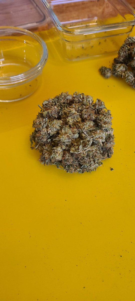 AttleyOffset's tweet photo. It's a little sticky ... #Mmemberville #CannabisCommunity #growyourown https://t.co/0DSGATUzfs