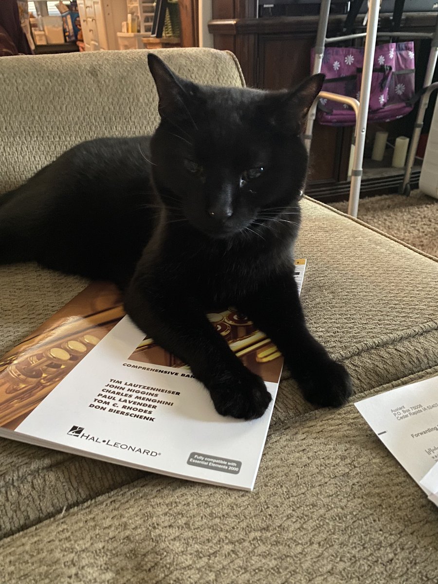 bbobgb's tweet photo. @Grissom_Bands @1GoodBetterBest Wilbur is ready for band https://t.co/It6ucmIBSc