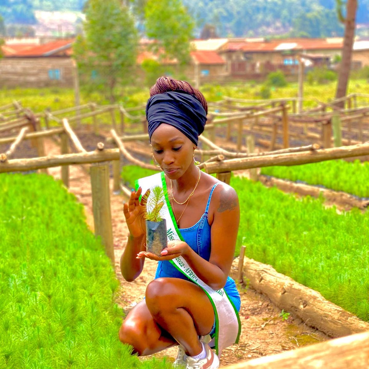 IAMJUDITHHEARD's tweet photo. Someone's sitting in the shade today because someone planted a tree a long time ago 👏🏾👏🏾👏🏾👏🏾👏🏾 

Plant a tree today 🌱🌱🌱🌱🌱🌱🌱🌱🌱🌱🌱 #pamperatree 

@missenvironmentafrica2022 👑 https://t.co/HGcI1Aj4zw