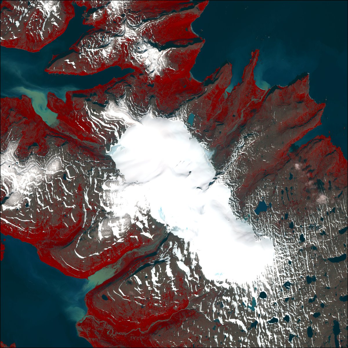 This will probably be a positive year for Drangajökull glacier, most of it still covered with winter snow after a cold June and July. False color near-infrared image acquired by #Landsat8 last Sunday evens show fresh snow around the margin