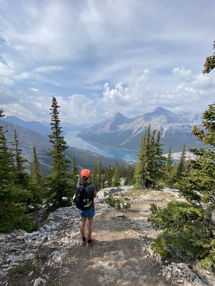 Martha McCabe tweet media