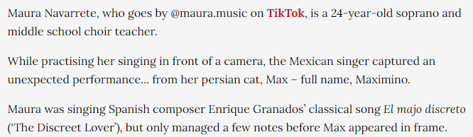 grundytv's tweet photo. @gattocciao @BECSPK516 here you go! #Max #operacat https://t.co/6sbtQyYDnn