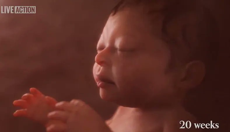 LifeNewsHQ's tweet photo. Florida Amendment Would Recognize the “God-Given Right to Life” of Unborn Babies
 https://t.co/HlNmmaZW2M https://t.co/0ViCYUXlnK