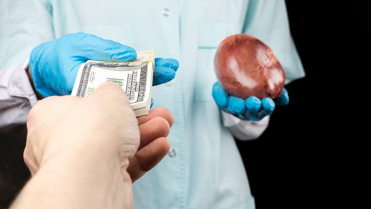 ChinaMonitored's tweet photo. Most organs used in transplants are sourced from prisoners. The Chinese government approved a regulation in 1984 to allow the removal of organs from executed criminals.

#China #TrumpIsGoingToJail #TaiwanStraitsCrisis #russiaisateroriststate #Russian https://t.co/vL7YwweUiV