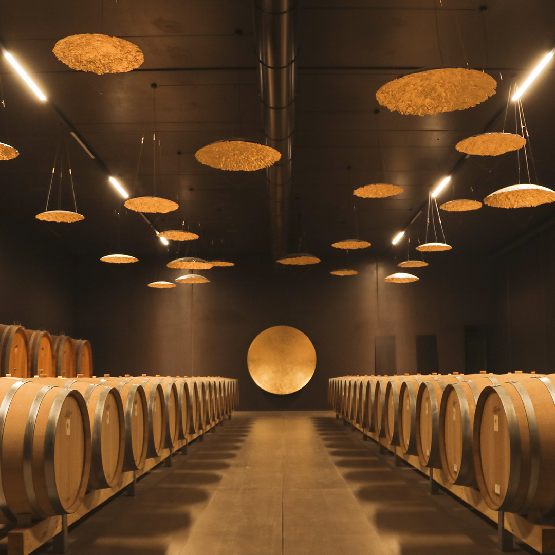 mazerowwines's tweet photo. The new "Leonildo Pieropan" winery is organized according to the production cycle, with special care to address the functional and hygienic needs of the various environments.
#finewine #foodandwine #somms
📷 © Pieropan https://t.co/j7doOnTq4m