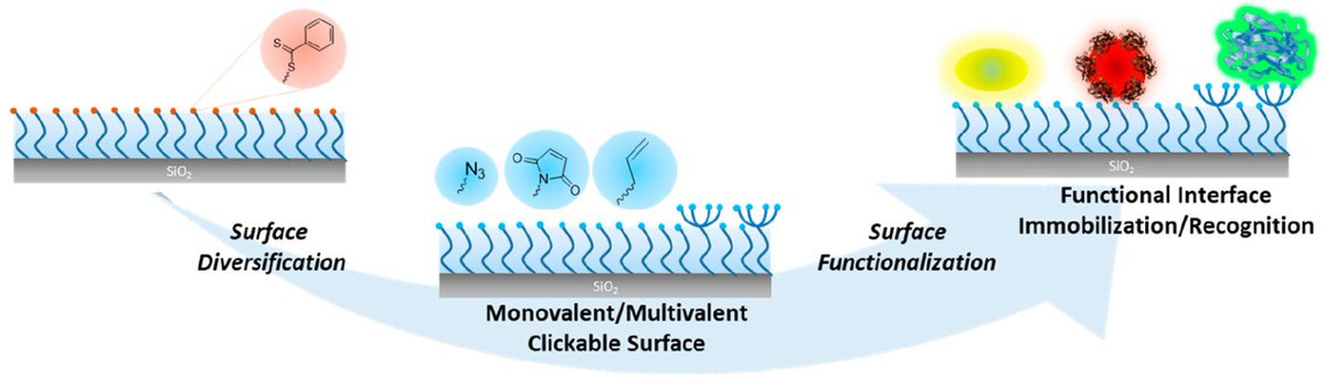 A modular approach for engineering biofunctionalizable interfaces developed by <a href="/degirmenciaysn/">Aysun Değirmenci, PhD</a> <a href="/LabSanyal/">Sanyal Lab</a> <a href="/bounchemistry/">Bounchemistry</a> now published in <a href="/BioconjChem/">Bioconjugate Chem</a> pubs.acs.org/doi/full/10.10…