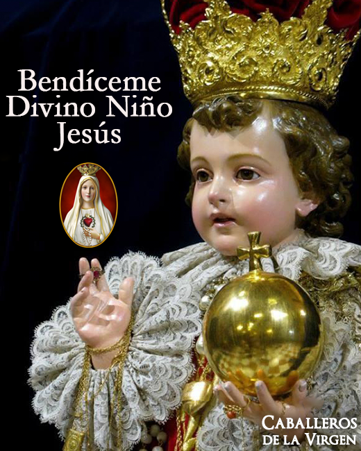 Caballeros de la Virgen tweet media