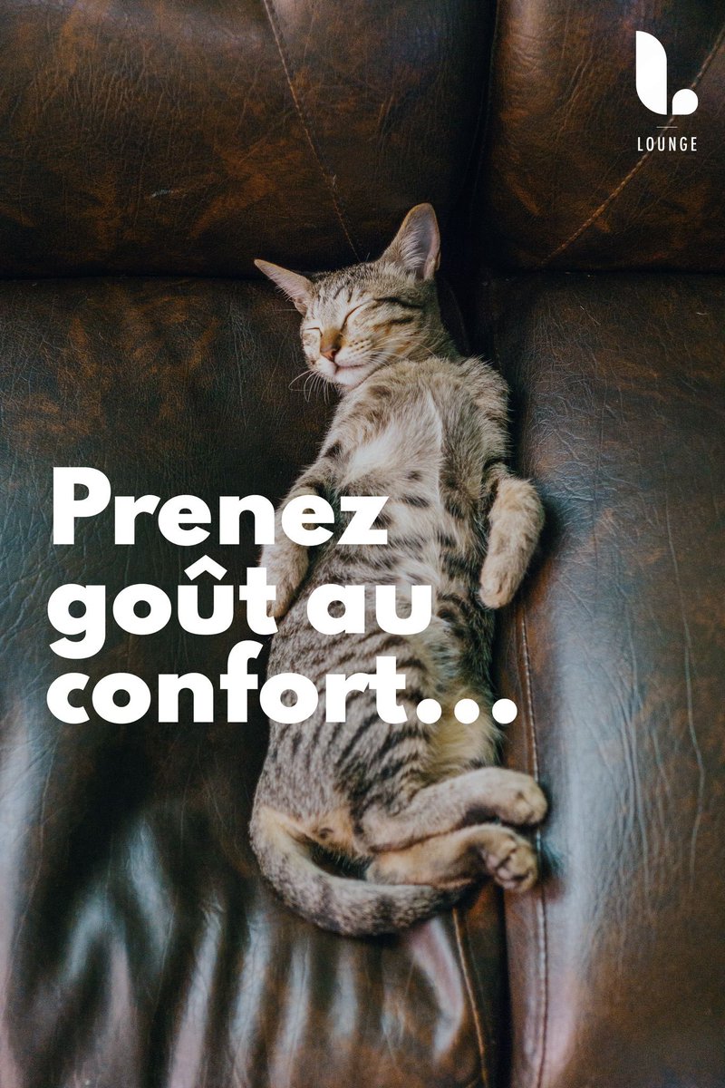 Prenez goût au confort…