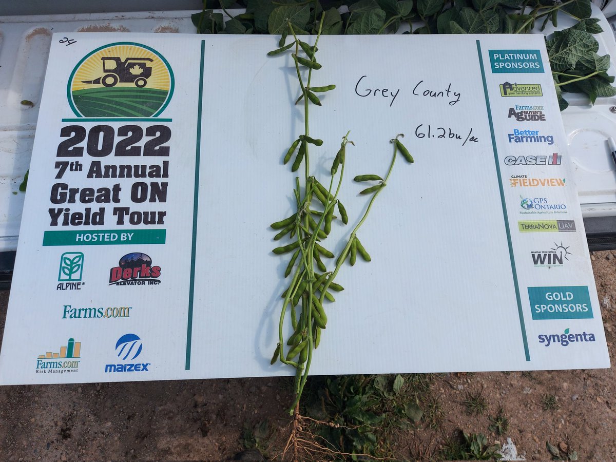 Nick Cressman tweet media