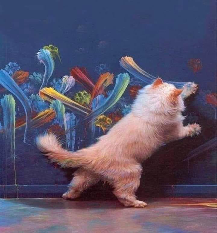 Picatsso 🐱🎨