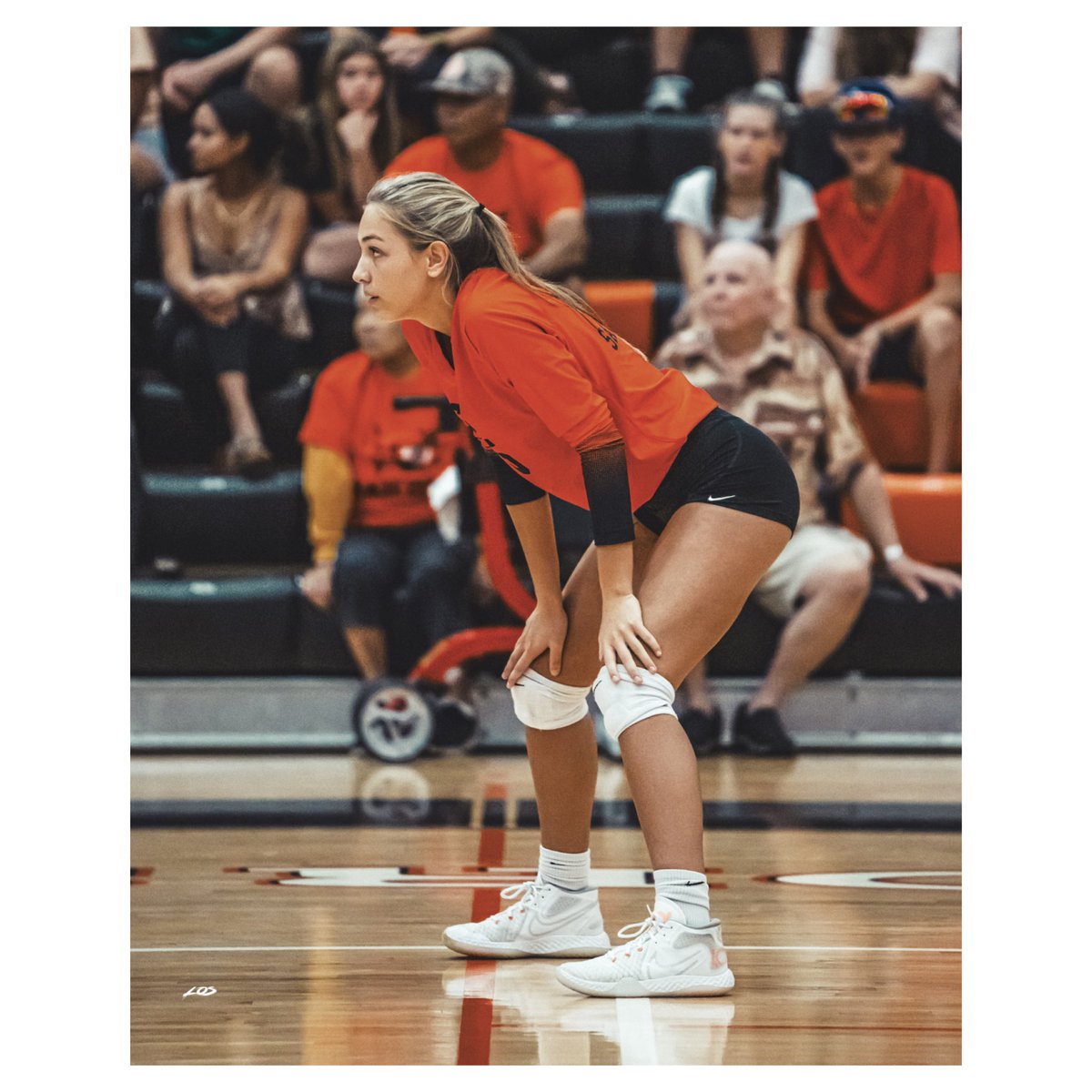 Carlos Wilson tweet media