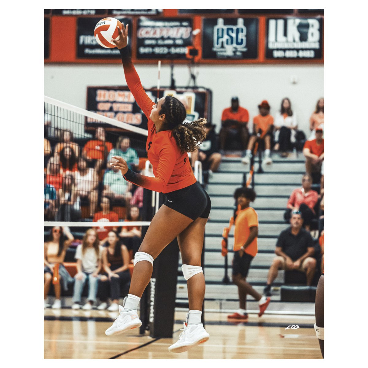 Carlos Wilson tweet media