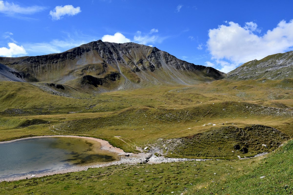 gurgeh's tweet photo. Sandhubel (2763m), between Arosa and Davos-Wiesen, is not a marked summit but is as high as nearby Valbellahorn and much easier to climb, for the same panorama view

GR, Aug'22 https://t.co/hnO6vpKSIY