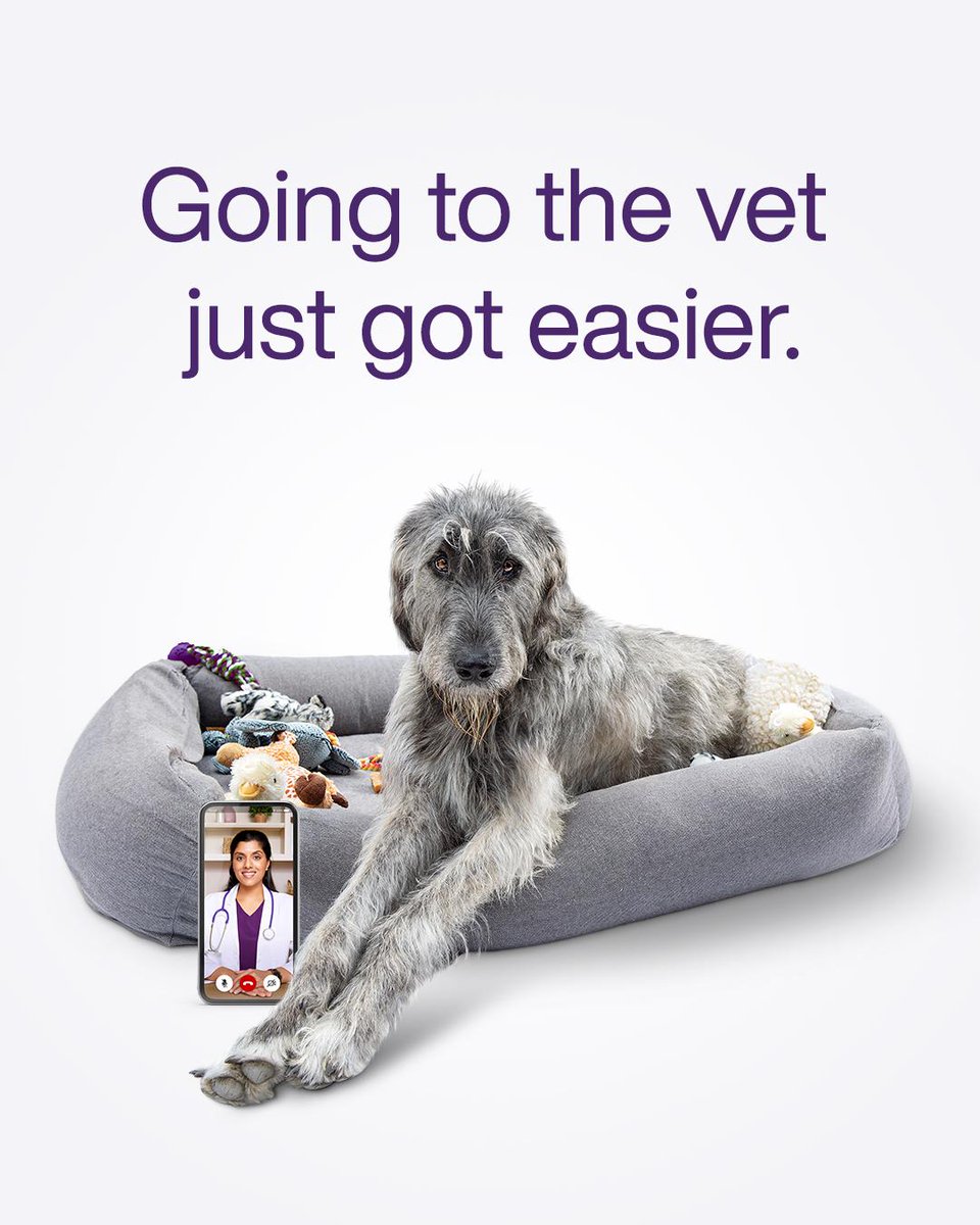 Paw-some news! Dog &amp; cat owners in B.C. can book virtual veterinary appointments with TELUS Health MyPet. It’s the perfect solution for pet parents with fur-babies who are nervous travelers or looking for professional pet advice from the comfort of home. ow.ly/rHNS103WfEN