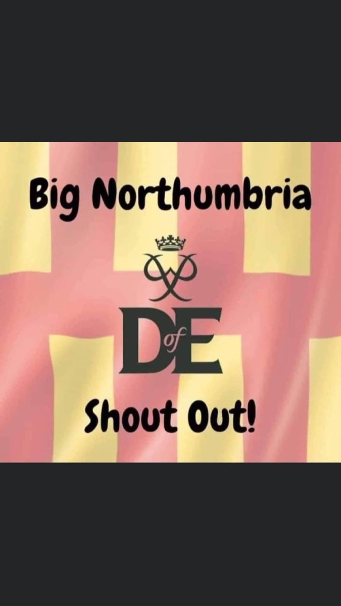 OC Z Company NACF tweet media