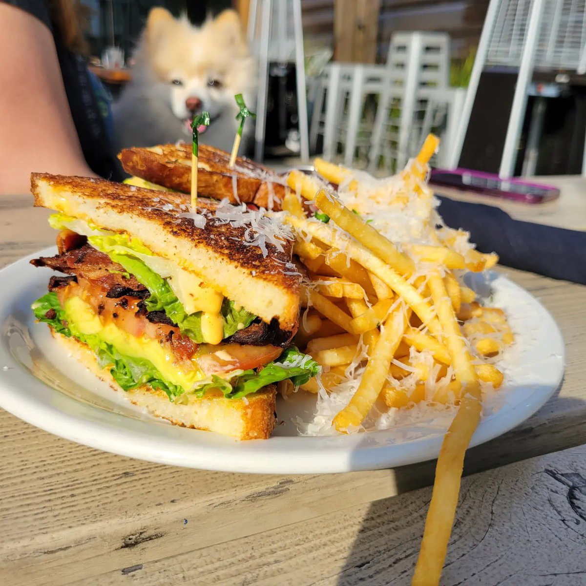 OriginalNFV's tweet photo. RT #ForgePizza #Napa
ยท
Our #BLTA ft. our furry friend trying to snag a bite ๐
@ForgePizza #pizza #patio #petfriendly #wings #beer #wine #fullbar #salads #ParmesanFries https://t.co/enVqwTfARs