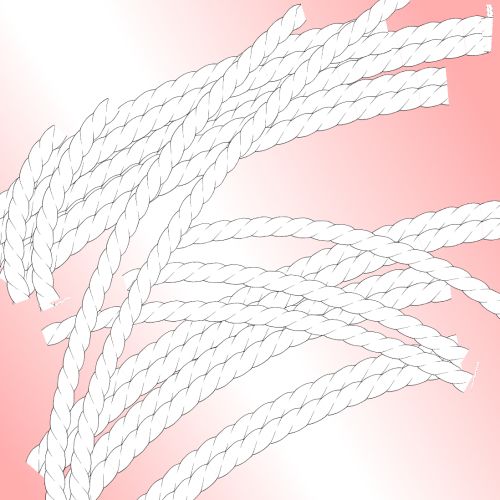 縄ブラシ完成!ついでに二本組のも作った! 