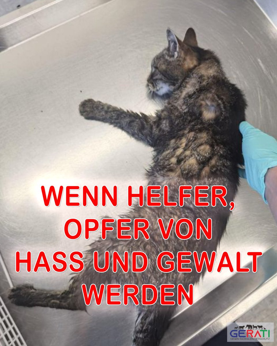 Gerati_de's tweet photo. Tierrechts- Hass und Hetze macht nicht einmal vor Helfern aus dem Tierschutz halt – Der Fall Burgdorf #gerati 
https://t.co/t4tGNEBbzK https://t.co/9VleRF3yi9