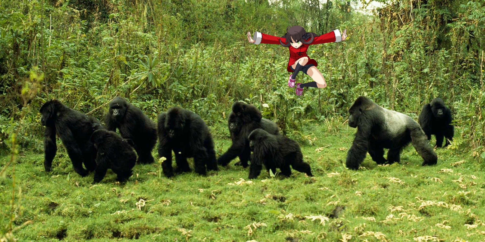 J I Y U N A on Twitter "Had a 28 Win Streak on Ranked until I ran into