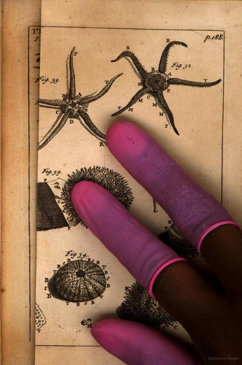 Zi Yun Huang tweet media