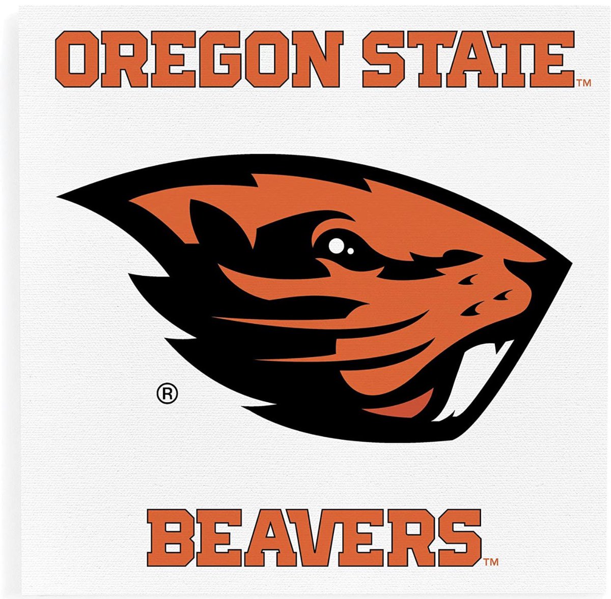 Darius Afalava tweet media