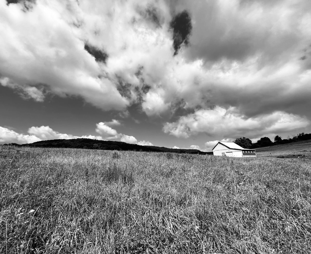 DocSing22's tweet image. 