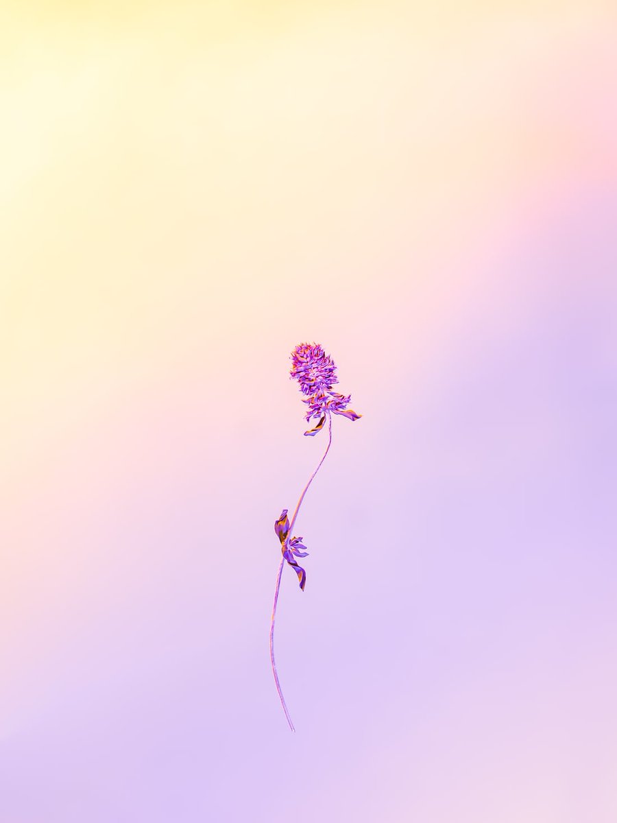 🎉 NFT item sold: plugin.io/marketplace/a4…

Solana explorer: explorer.solana.com/address/2B4vpA…

#nft #pluginio #NFTsales #SolanaNFT #solana #NFTCommunity #vaporwave #art #fresh #flower #DigitalArtist #digitalcollectibles