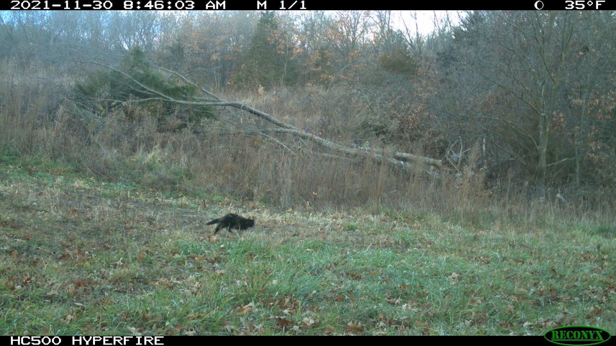 Drury Outdoors 🦌 tweet media