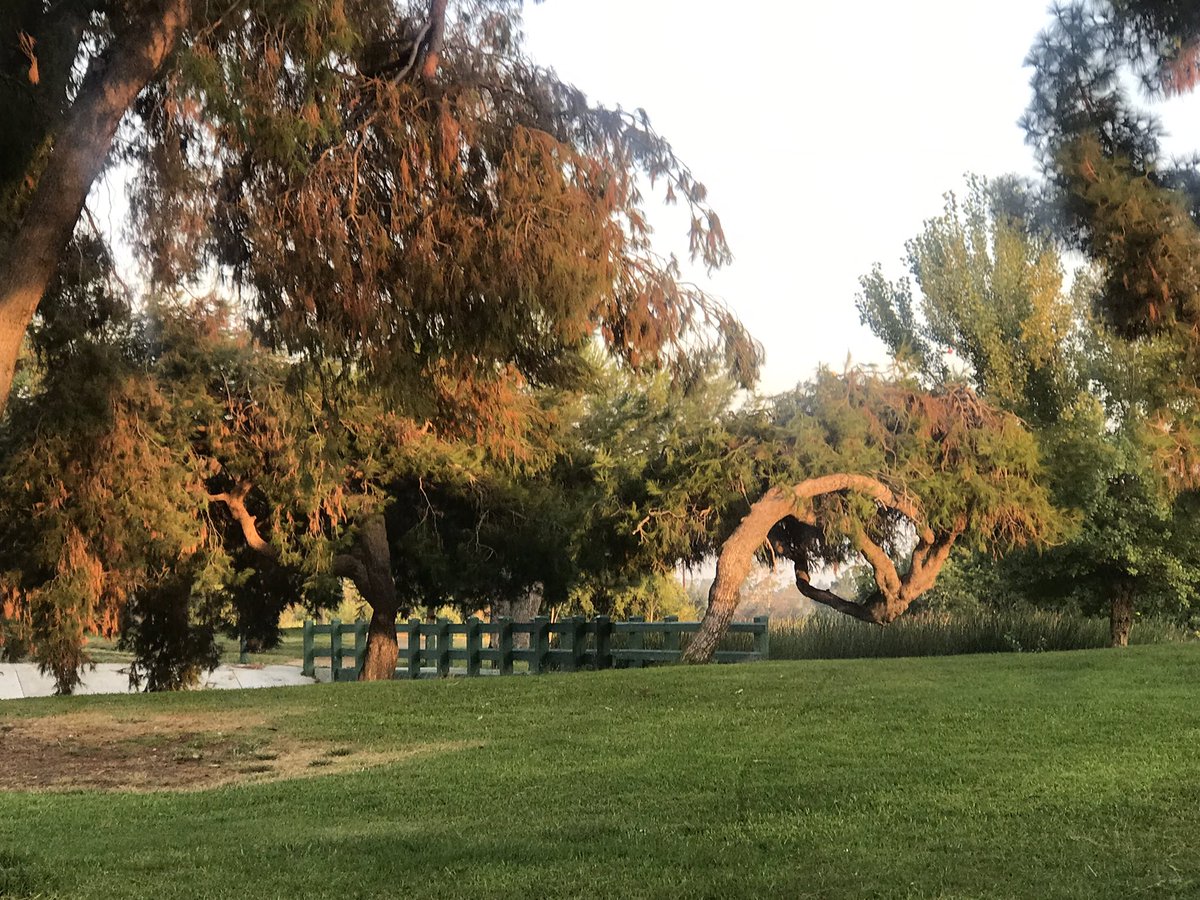 hzffejad's tweet photo. 前天一大早去公園踩腳踏車🚴‍♀️結果就要回到家門口的時候馬失前蹄，重重地摔了一跤。腿上多處擦破皮，手腕也一陣生疼，左邊顴骨也鼓起一個小包，樣子有點狼狽。🥴 https://t.co/gbKUFcCYcD