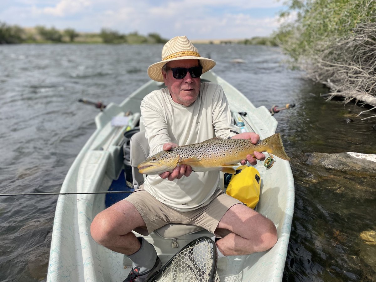 Caught a really nice Brown today on the Madison River near Cameron, Montana.