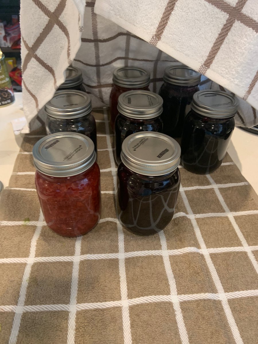 MarlaMarie14's tweet photo. Second session of learning to can with Mrs. Prium!!! I love learning these new skills and I’m now getting the hang of it 🍓🫐 #jam #canning #straberry #blueberry #Raspberry #blackberry https://t.co/niL75Nyr8n