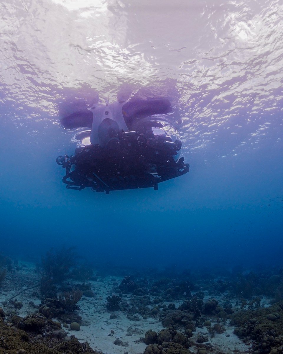 Ben Mueller tweet media