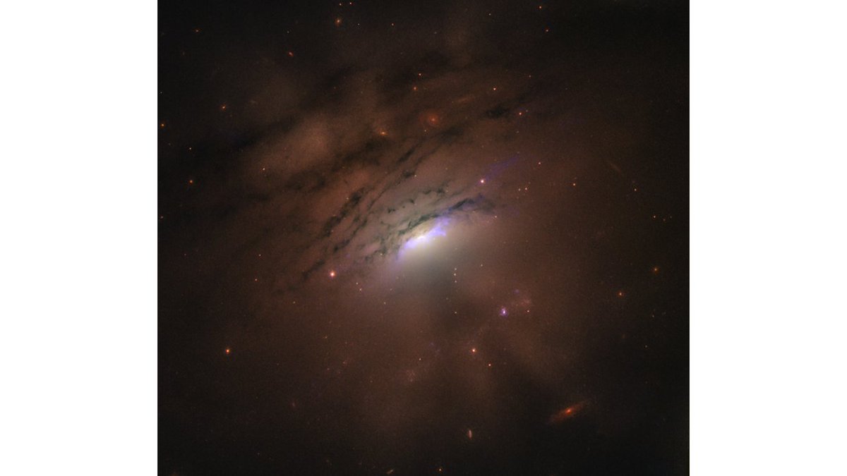astropierre tweet picture