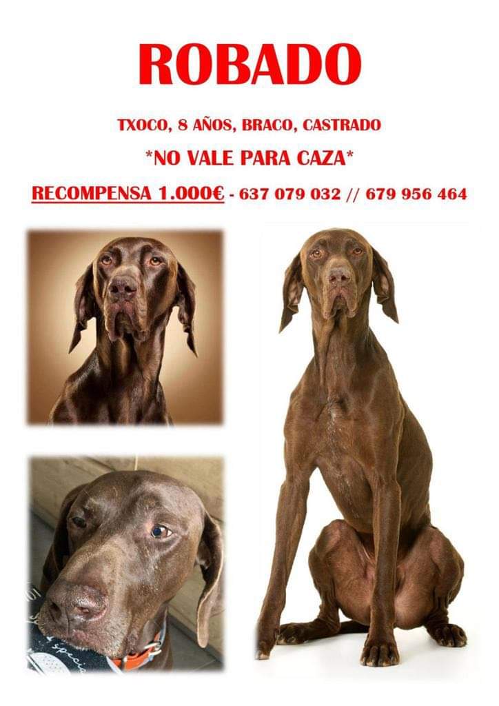 SilviaMylo's tweet photo. En Azuqueca de Henares, Madrid
Urgente difusión
😢🆘📢📢📢📢📢📢📢📢📢📢📢📢📢📢📢📢📢📢
En Madrid
🆘 😢 🆘 📢 📢 📢 📢 📢 📢 📢 📢 📢 📢 📢 📢 📢 📢 📢 📢 📢 📢 📢 📢 📢 https://t.co/9YLXs7S9OY