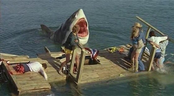 miamifoxstream's tweet photo. SHARKS, VAMPIRES AND KILLERS, OH MY!
These and so much more on #MiamiFoxStreaming
COMING SEPTEMBER
#Horror #SharkAttack #Vampire #Psycho https://t.co/1FMVFm9fFa