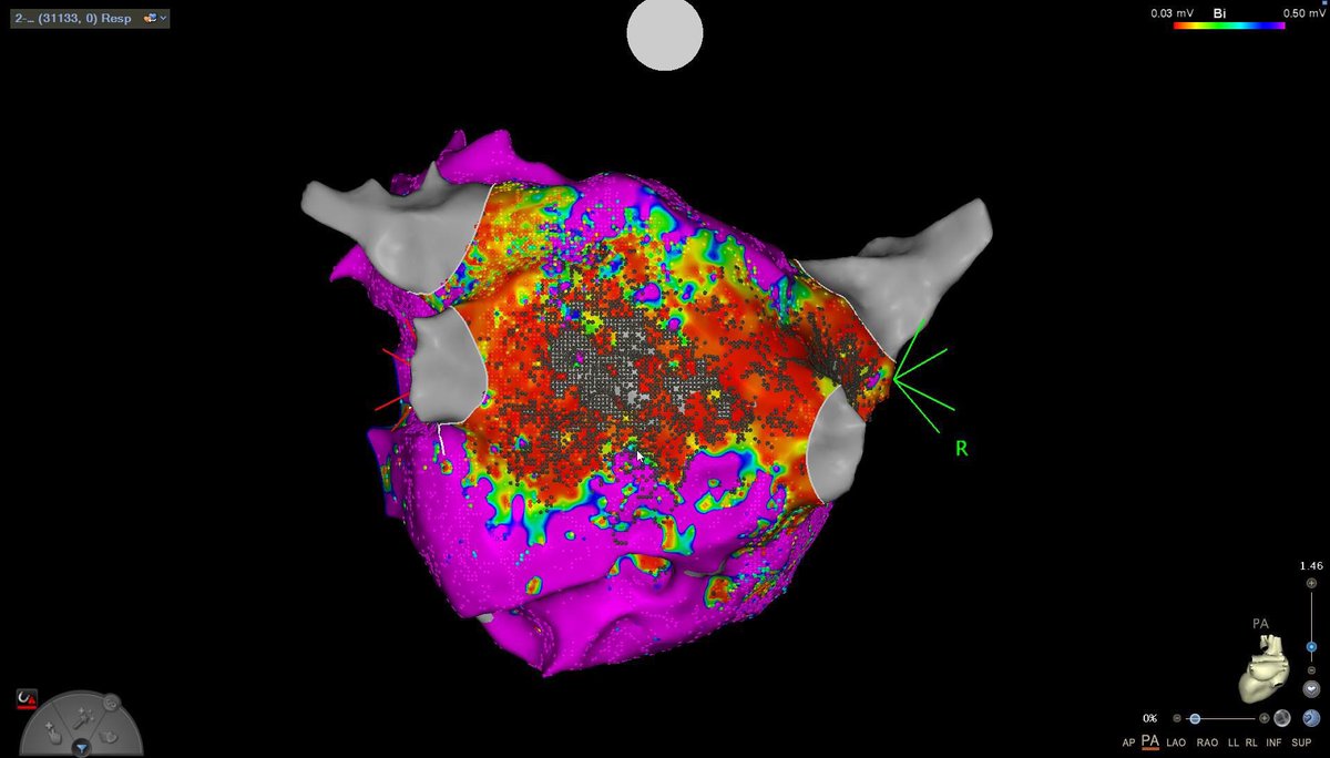 Rui Providência tweet media