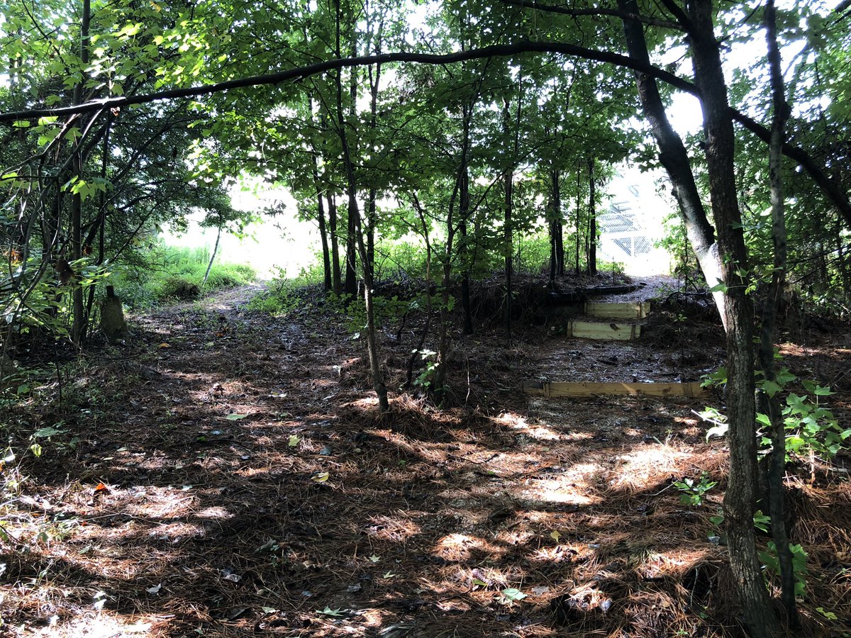 The trail(s!) are ready to welcome students into the wilds of <a href="/ApexHighSchool/">Apex High School</a>