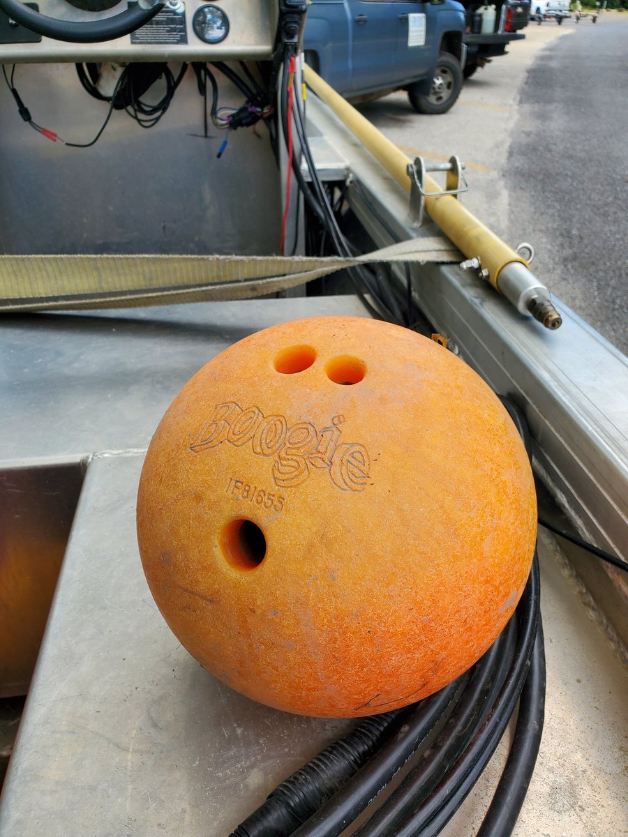 ichthyoAaron's tweet photo. I've been working on large river systems for 15+ years and thought I'd found every ball possible but here we are. #rivergift #riverbooty https://t.co/lq1YJO5xEP