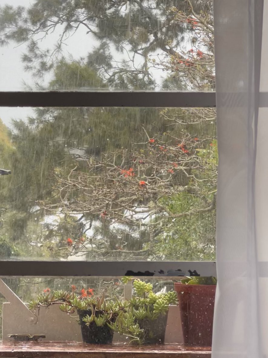helloimseven's tweet photo. woke up to it raining https://t.co/TNLl1B5MNq