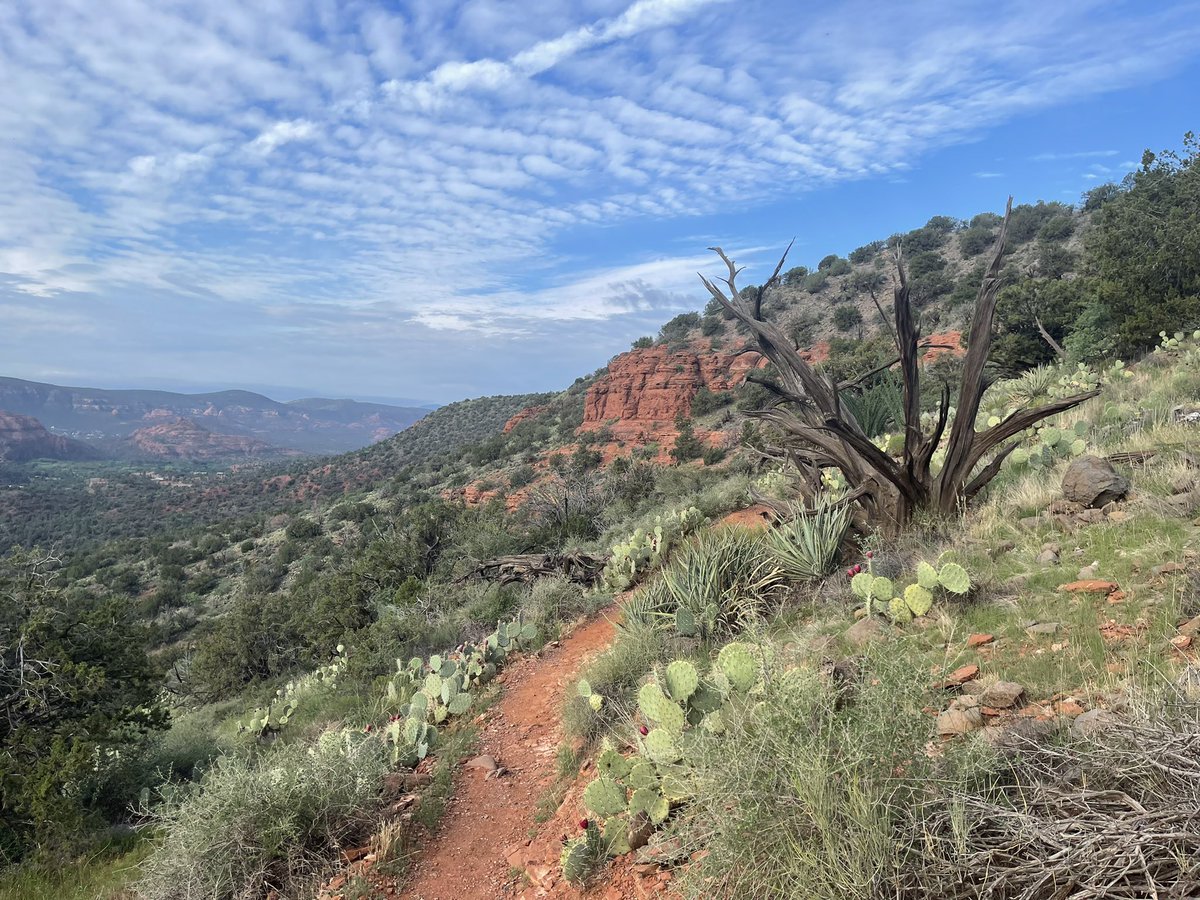 More <a href="/SedonaAZ/">SedonaAZ</a>?  Ok!
#sedona
