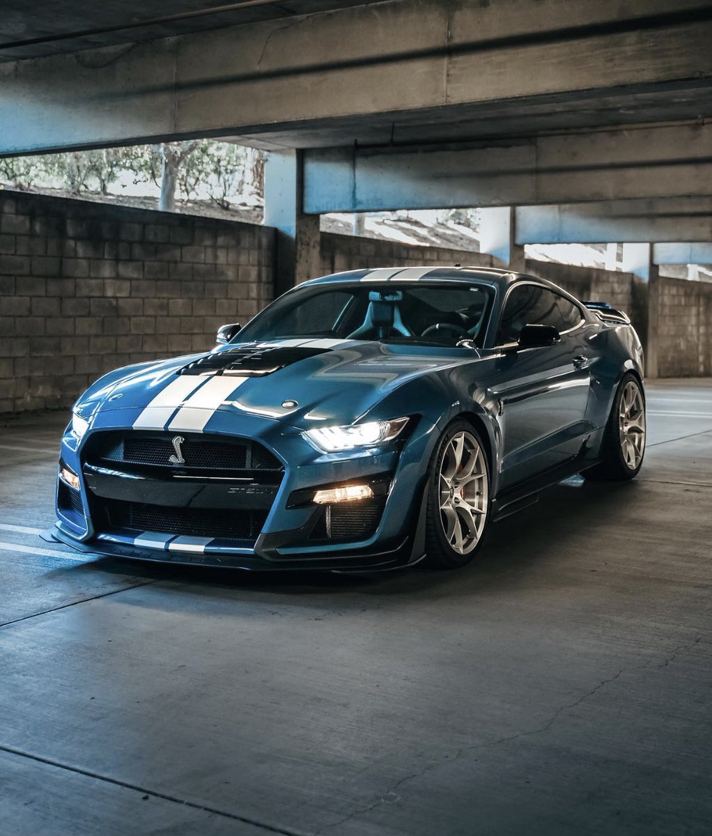 carpxrnpicx's tweet photo. Shelby GT500 https://t.co/Rxkvb9h0Cn